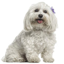 49754854195537|49754854392145