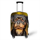 48474115244369|48474115309905|48474115342673|48474115375441