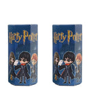 Big Blind Box Harry Potter