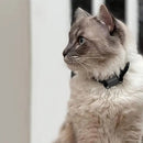 GPS nyakörv helymeghatározó kutyáknak - több változatban