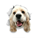 49754852688209|49754852753745