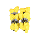 48141089800529|48141089898833|48141089931601|48141089964369|48141089997137|48141090095441|48141090128209