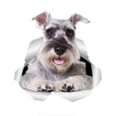 49754853278033|49754853441873