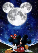 49785648906577|49785648939345