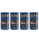Big Blind Box Harry Potter