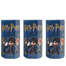 Big Blind Box Harry Potter