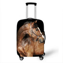 48473666650449|48473666683217|48473666715985|48473667043665