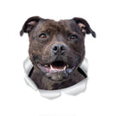 49754852131153|49754852262225