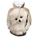 49707657101649|49707657134417|49707657167185|49707657199953|49707657232721|49707657265489|49707657298257|49707657331025|49707657363793|49707657396561