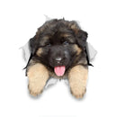 49754853867857|49754854097233