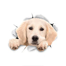 49754853343569|49754854949201