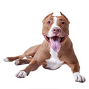 49754852524369|49754853212497