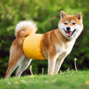 Színes mosható kutyanadrág kutyáknak - több változatban