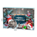 Adventi naptár macskáknak