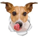 49754853179729|49754853245265