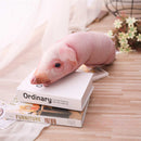 Plüss malac párna - több változatban