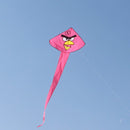 Repülő sárkány motívummal Angry Birds