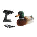 3256804506535084-China|3256804506535084-United States|3256804506535084-SPAIN|3256804506535084-Australia|3256804506535084-France