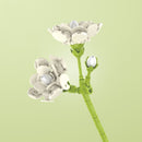 Építőkészlet virág - több változatban