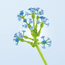 Építőkészlet virág - több változatban