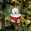 karácsonyfadísz - Kutya - több változatban