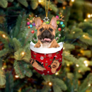 karácsonyfadísz - Kutya - több változatban