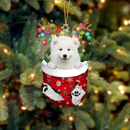 karácsonyfadísz - Kutya - több változatban