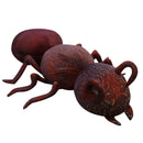 Hangya - több méretben