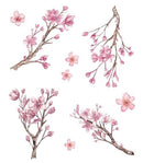 Barackvirág tetoválás kicsi és nagy - több változatban