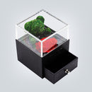 Ékszertartó ajándékdoboz mackóval - több változatban